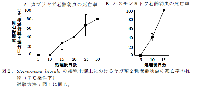 Steinernema litorale の接種土壌上におけるヤガ類2種老齢幼虫の死亡率の推移