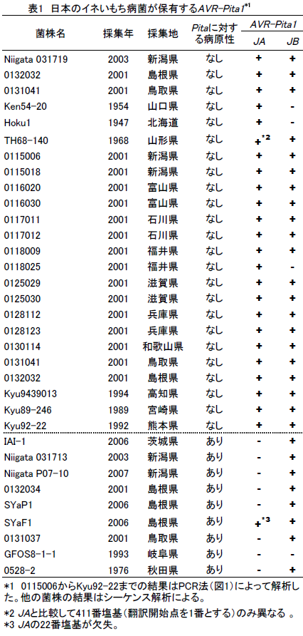 日本のイネいもち病菌が保有するAVR-Pita1