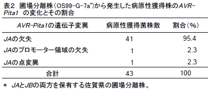 圃場分離株(OS99-G-7a*)から発生した病原性獲得株のAVRPita1の変化とその割合