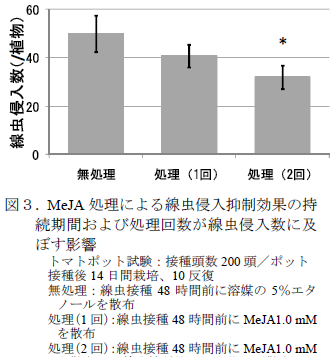MeJA 処理による線虫侵入抑制効果の持 続期間および処理回数が線虫侵入数に及 ぼす影響