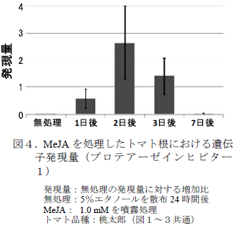 MeJA を処理したトマト根における遺伝 子発現量(プロテアーゼインヒビター 1)