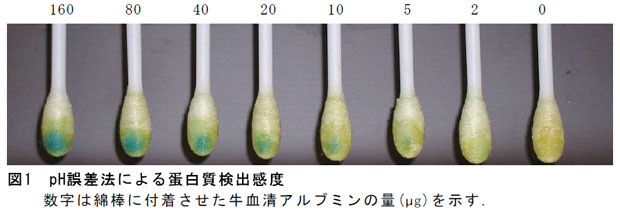 図1 pH誤差法による蛋白質検出感度