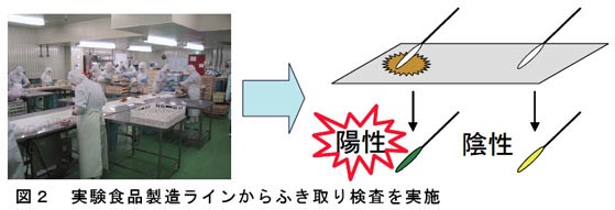 図2 実験食品製造ラインからふき取り検査を実施