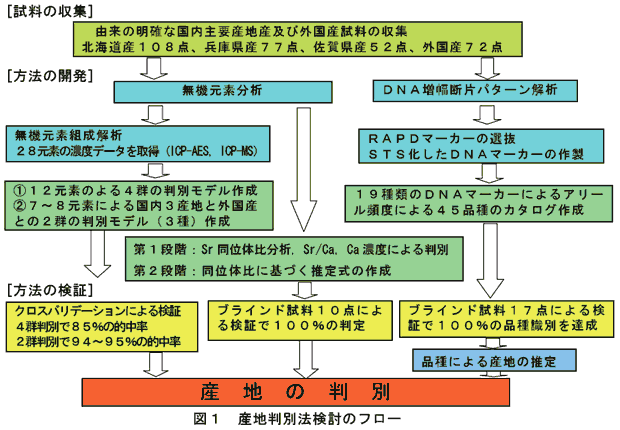 図1 産地判別法検討のフロー