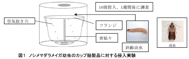 図1 ノシメマダラメイガ幼虫のカップ麺製品に対する侵入実験