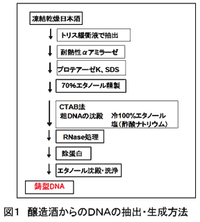 図1 醸造酒からのDNAの抽出・生成方法