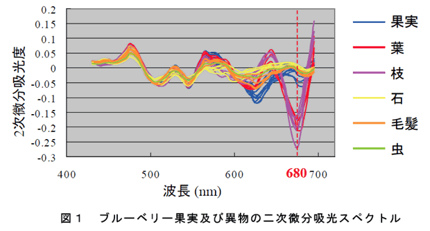 図1 ブルーベリー果実及び異物の二次微分吸光スペクトル