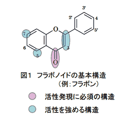 図1 フラボノイドの基本構造