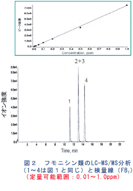 図2 フモニシン類のLC-MS/MS分析と検量線