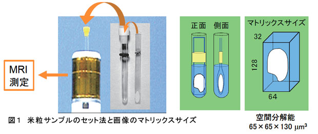 図1 米粒サンプルのセット法と画像のマトリックスサイズ