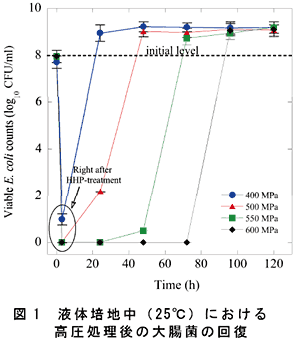 図1 液体培地中( 25°C ) における高圧処理後の大腸菌の回復