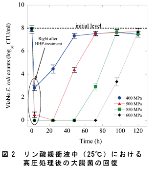 図2 リン酸緩衝液中( 25°C ) における高圧処理後の大腸菌の回復