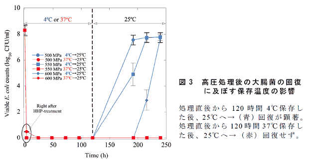 図3 高圧処理後の大腸菌の回復に及ぼす保存温度の影響