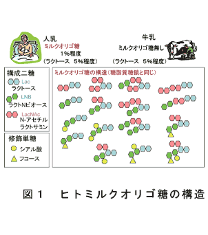 図1 ヒトミルクオリゴ糖の構造