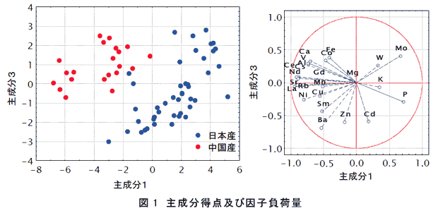 図1 主成分得点及び因子負荷量