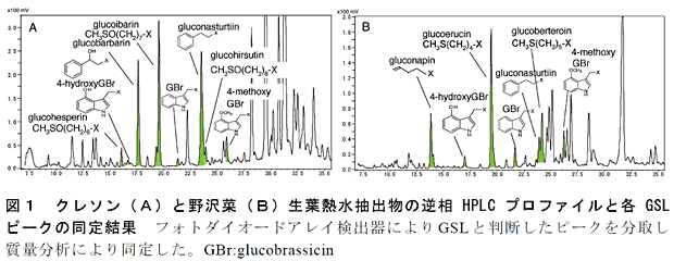 図1 クレソン(A)と野沢菜(B)生葉熱水抽出物の逆相HPLC プロファイルと各GSLピークの同定結果