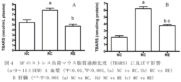 図4 SF のストレス負荷マウス脂質過酸化度(TBARS)に及ぼす影響