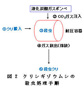 図2 クリシギゾウムシの殺虫処理手順