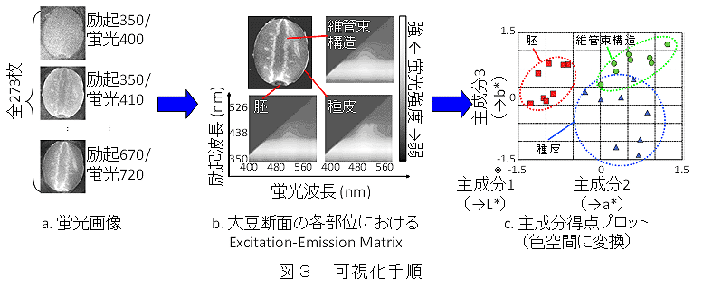 図3 可視化手順