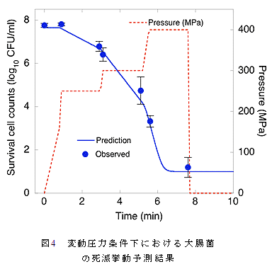 図4 変動圧力条件下における大腸菌の死滅挙動予測結果