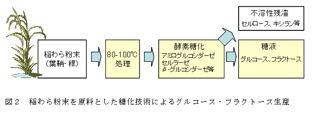 図2 稲わら粉末を原料とした糖化技術によるグルコース・フラクトース生産