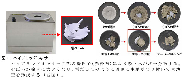 図1.ハイブリッドミキサーハイブリッドミキサー内部の攪拌子(赤枠内)により粉と水が均一分散する。そぼろが徐々に大きくなり、雪だるまのように周囲に生地が張り付いて生地玉を形成する( 右図) 。