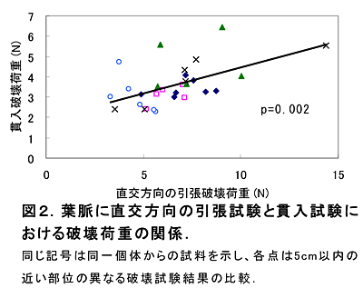 図2.葉脈に直交方向の引張試験と貫入試験における破壊荷重の関係. 同じ記号は同一個体からの試料を示し、各点は5cm以内の近い部位の異なる破壊試験結果の比較.