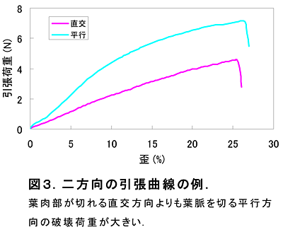 図3.二方向の引張曲線の例. 葉肉部が切れる直交方向よりも葉脈を切る平行方向の破壊荷重が大きい.