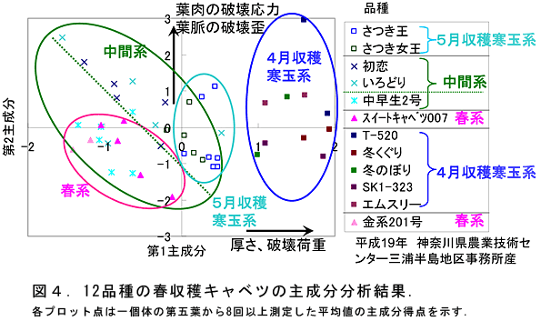 図4.12品種の春収穫キャベツの主成分分析結果.各プロット点は一個体の第五葉から8回以上測定した平均値の主成分得点を示す.