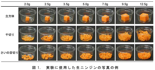 図1.実験に使用した生ニンジンの写真の例