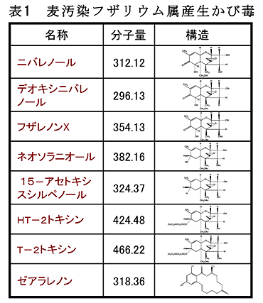 表1 麦汚染フザリウム属産生かび毒