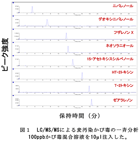 図1 LC/MS/MSによる麦汚染かび毒の一斉分析 100ppbかび毒混合溶液を10μl注入した。