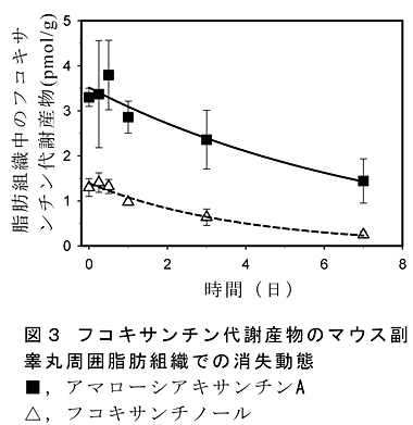 図3 フコキサンチン代謝産物のマウス副睾丸周囲脂肪組織での消失動態■,アマローシアキサンチンA△,フコキサンチノール