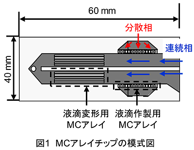 図1 MCアレイチップの模式図