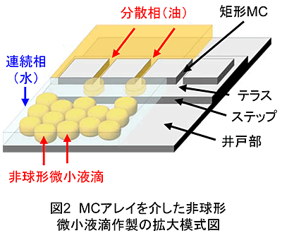 図2 MCアレイを介した非球形微小液滴作製の拡大模式図