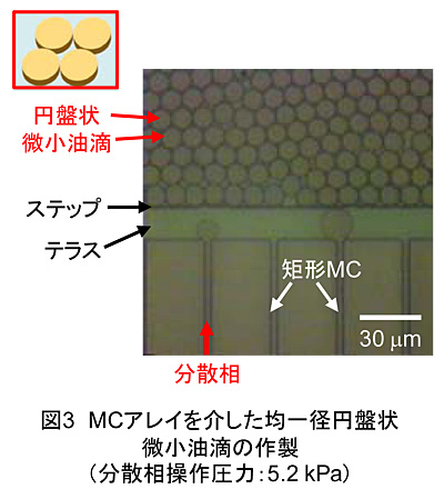 図3 MCアレイを介した均一径円盤状微小油滴の作製(分散相操作圧力:5.2 kPa)