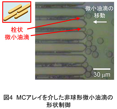 図4 MCアレイを介した非球形微小油滴の形状制御