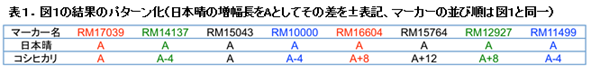 表1。図1の結果のパターン化(日本晴の増幅長をAとしてその差を±表記、マーカーの並び順は図1と同一)