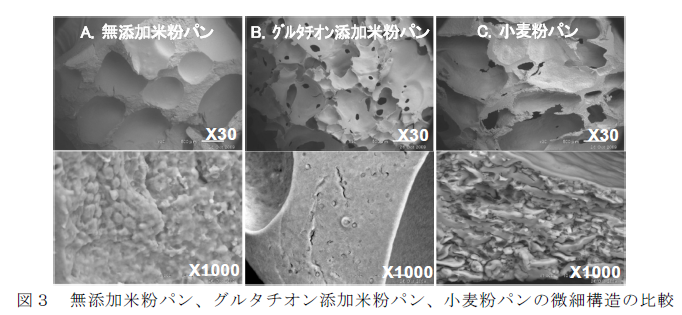 図3 無添加米粉パン、グルタチオン添加米粉パン、小麦粉パンの微細構造の比較