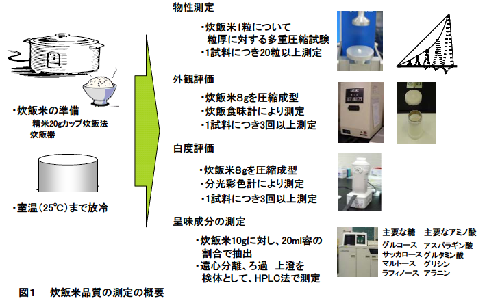 図1 炊飯米品質の測定の概要