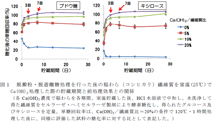 脱澱粉・脱遊離糖処理を行った後の稲わら(コシヒカリ)繊維質を室温(25°C)で Ca(OH)2 処理した際の貯蔵期間と前処理効果との関係