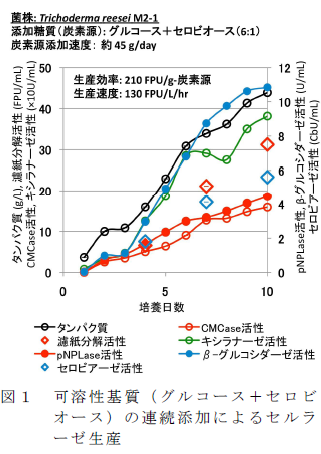 可溶性基質( グルコース+ セロビ オース) の連続添加によるセルラ ーゼ生産