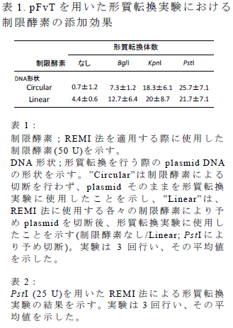 pFvT を用いた形質転換実験における 制限酵素の添加効果