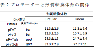 プロモーターと形質転換体数の関係