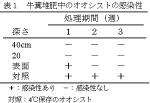 表1 牛糞堆肥中のオオシストの感染性