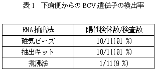 表1 下痢便からのBCV遺伝子の検出率