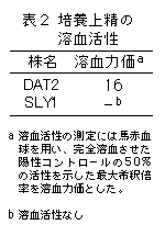 表2 培養上精の溶血活性