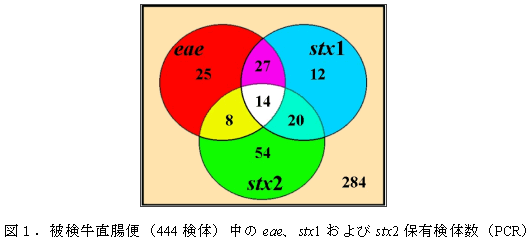 図1.被検牛直腸便(444検体)中のeae、stx1およびstx2保有検体数(PCR)