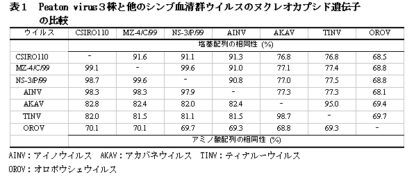 表1 Peaton virus3株と他のシンブ血清群ウイルスのヌクレオカプシド遺伝子の比較
