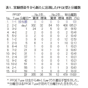 表1 実験感染牛から新たに出現したPFGE型と分離数